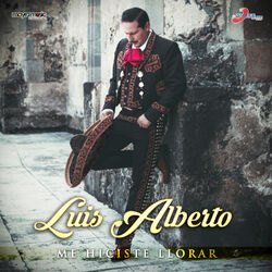 Cover of Me Hiciste Llorar