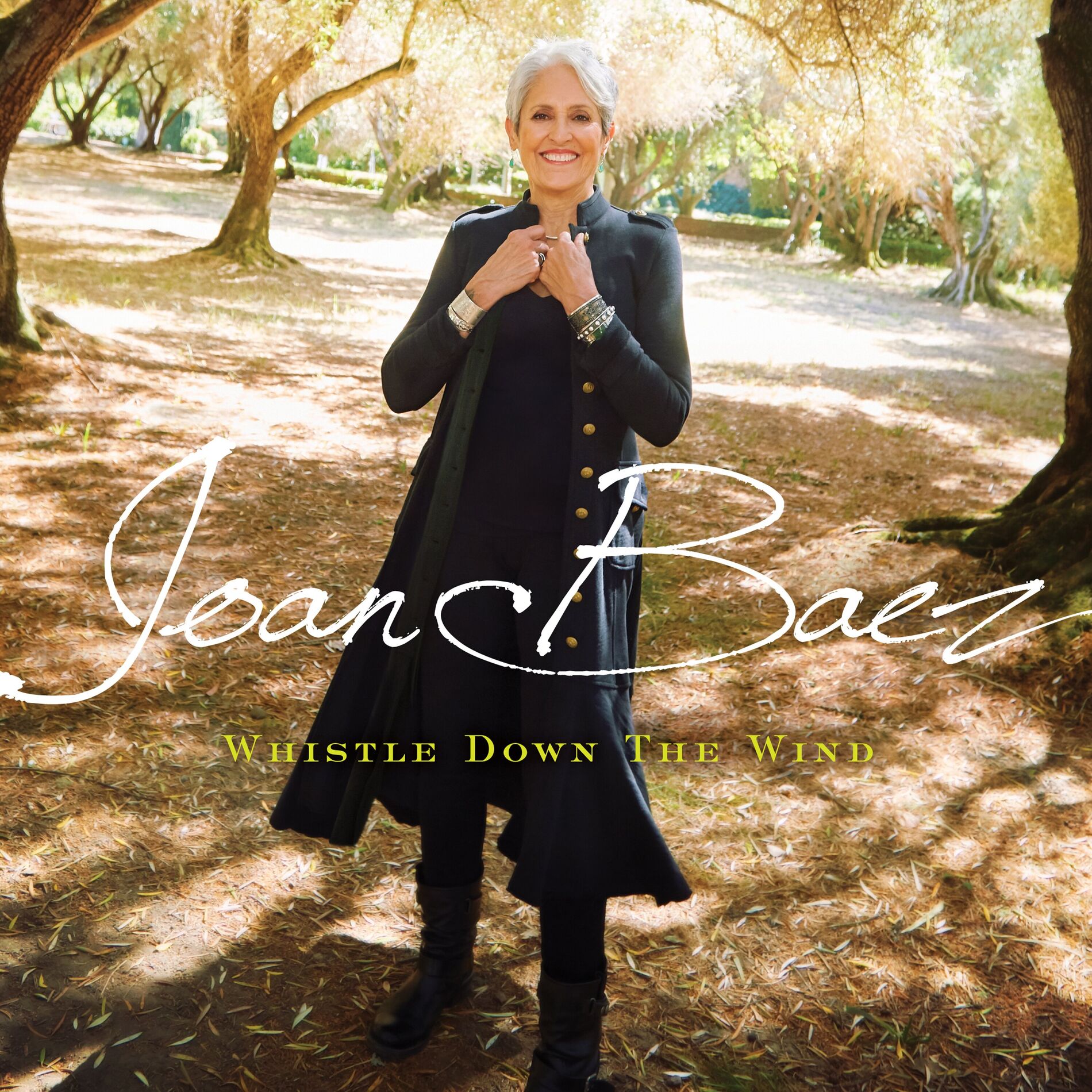 Album cover of Whistle Down the Wind