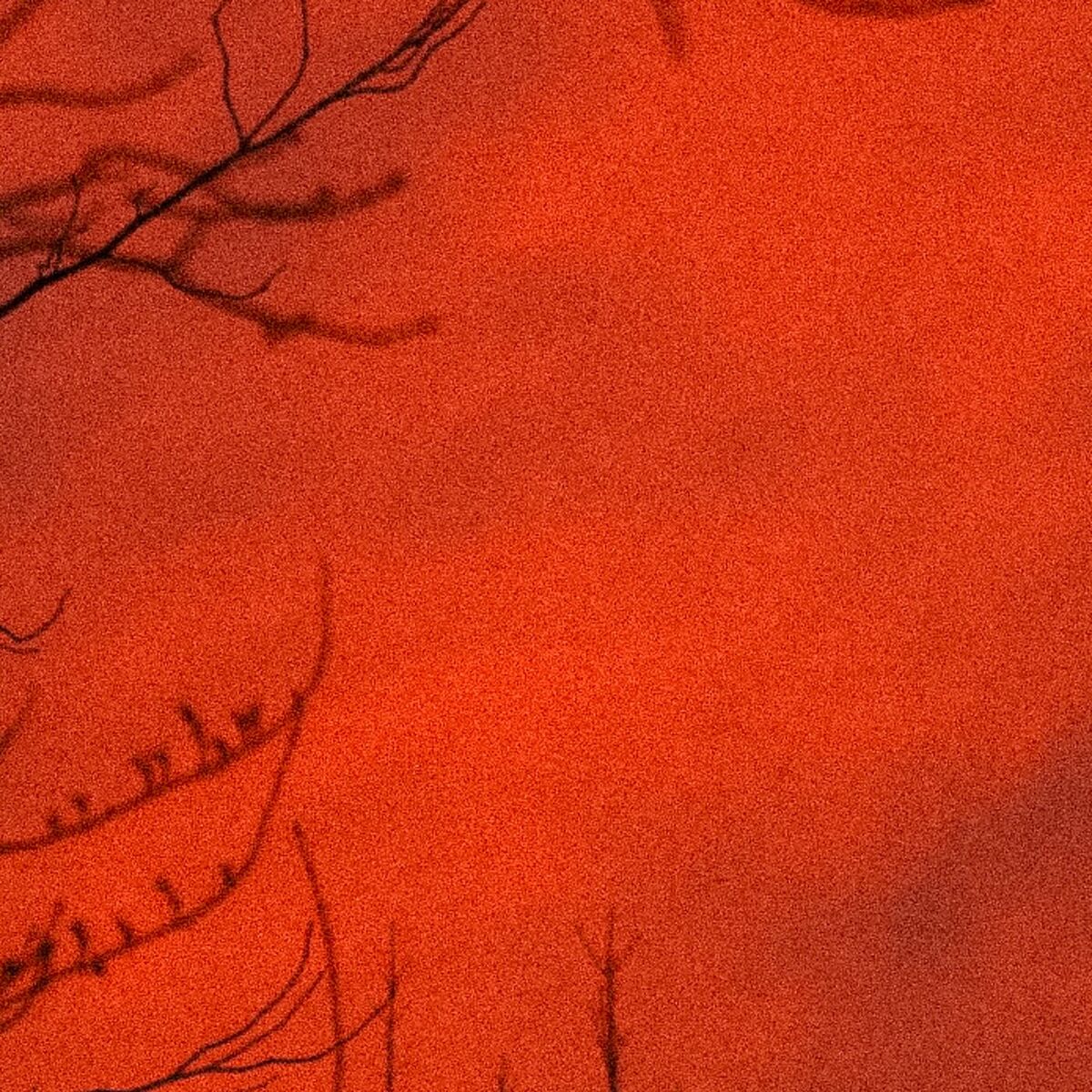 Album cover of Killer Instincts