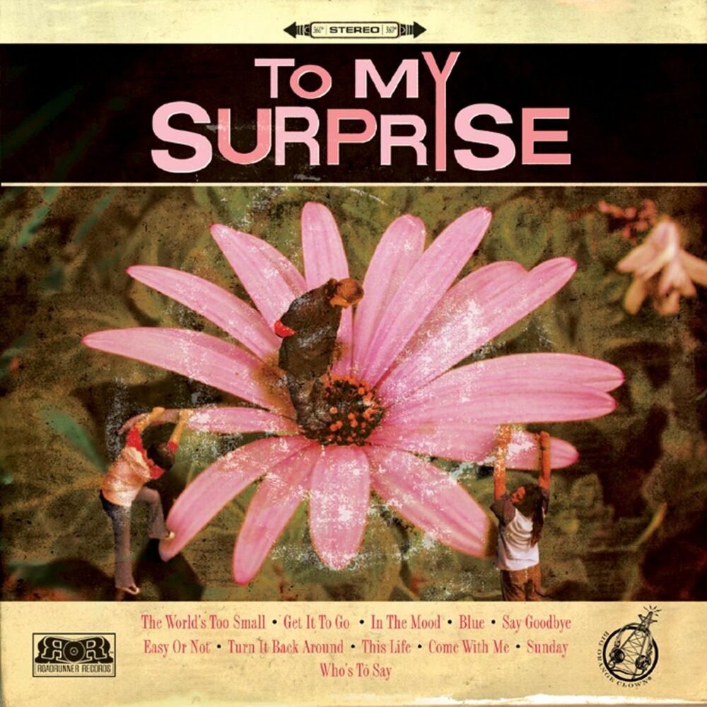 Picture of To My Surprise