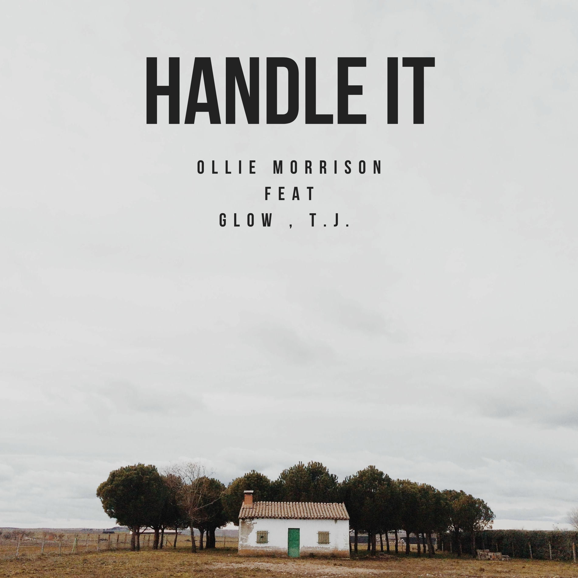 Album cover of Handle It (feat. Glow & T.J.)