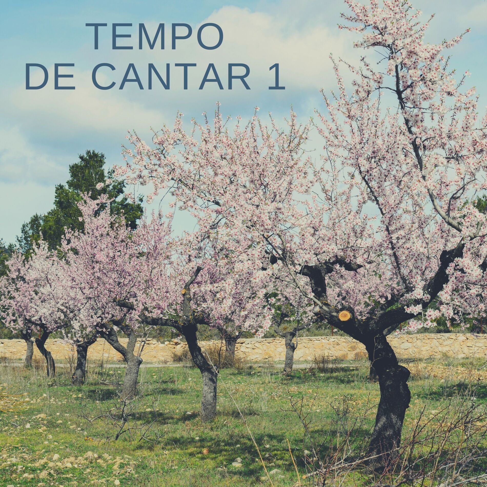 Album cover of Aviva a tua Obra