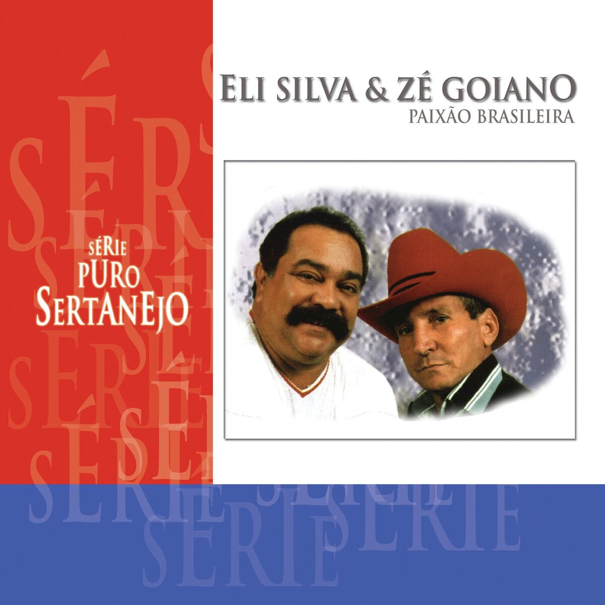 Album cover of Paixão Brasileira