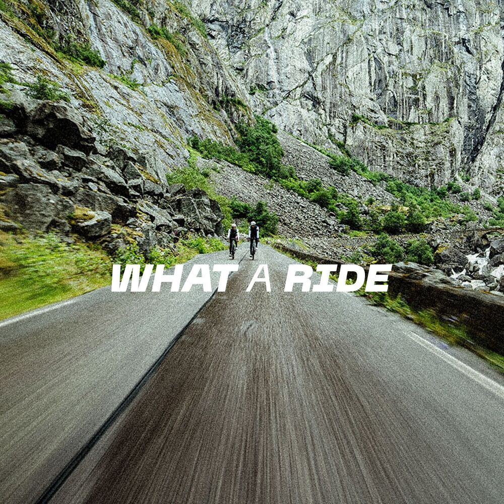 Picture of Gobik What a Ride