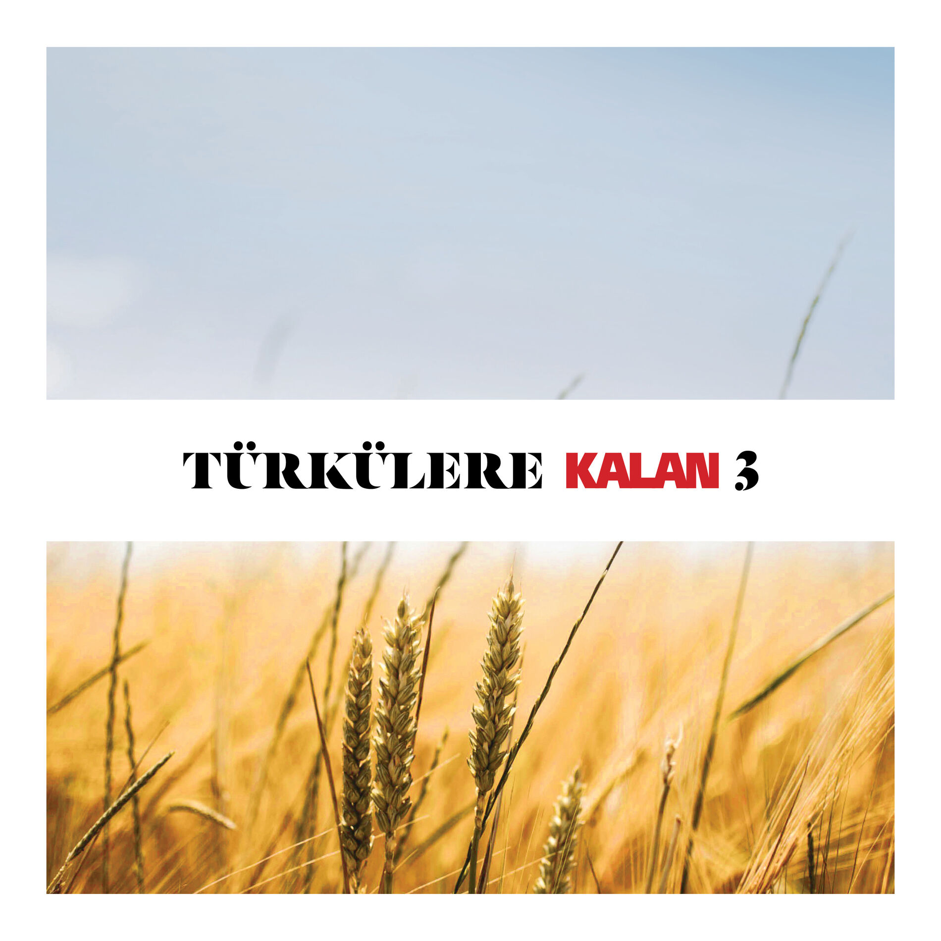 Album cover of Türkülere Kalan, Vol. 3