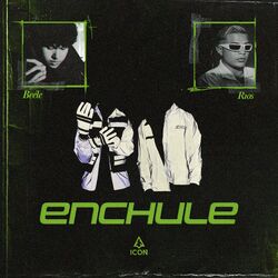 Cover of Enchule