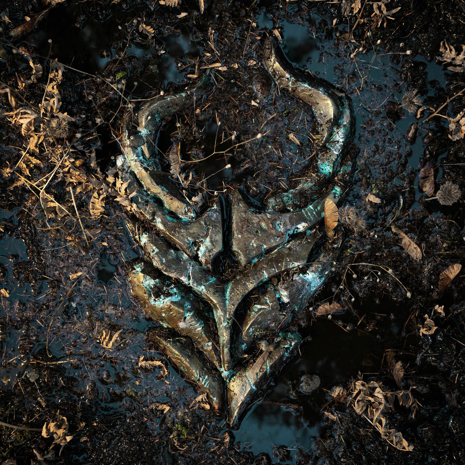 Album cover of Sorrow Light The Way