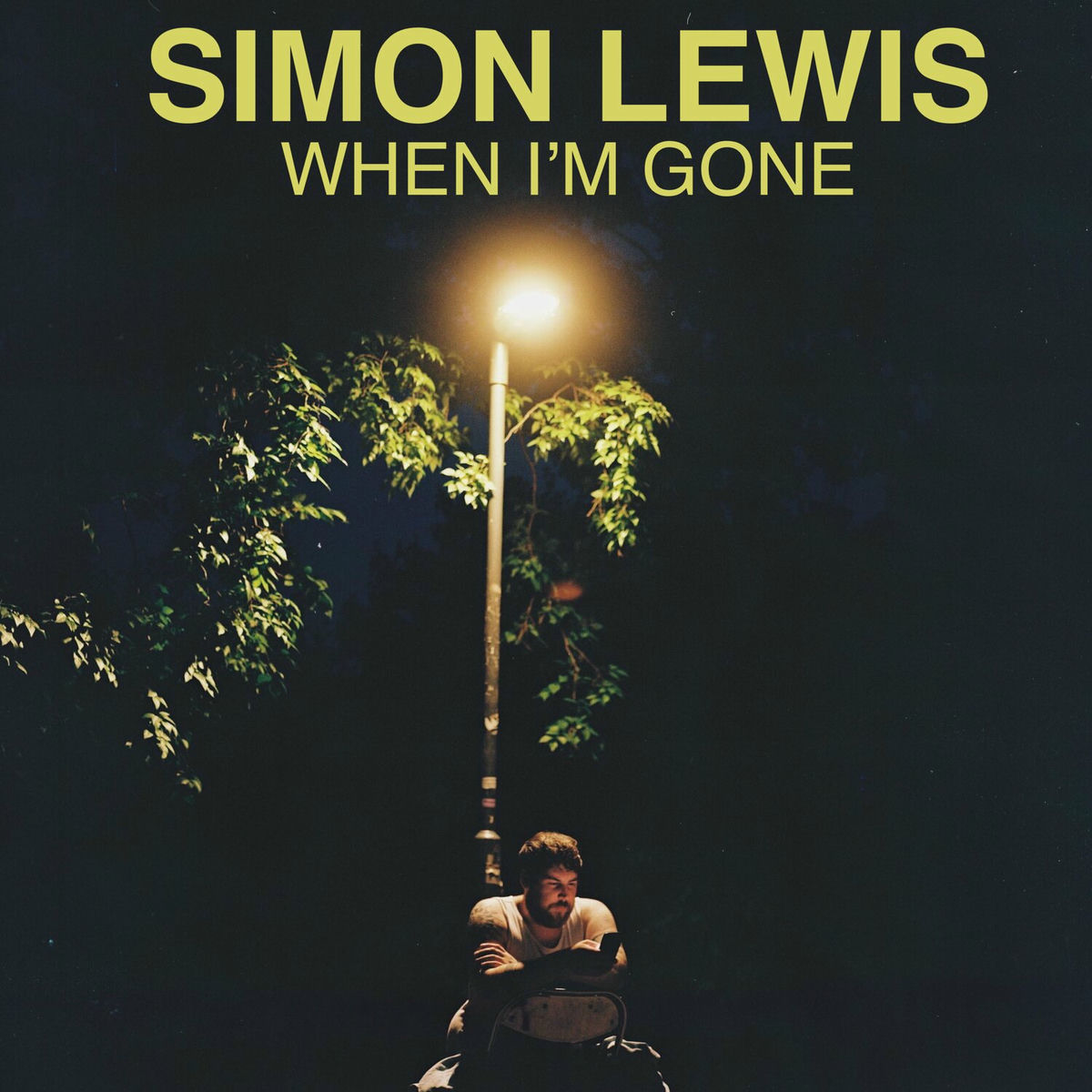 Album cover of When I'm Gone