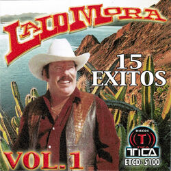 Cover of 15 Exitos Vol. 1