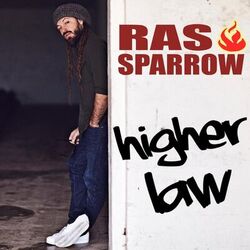 Cover of Higher Law
