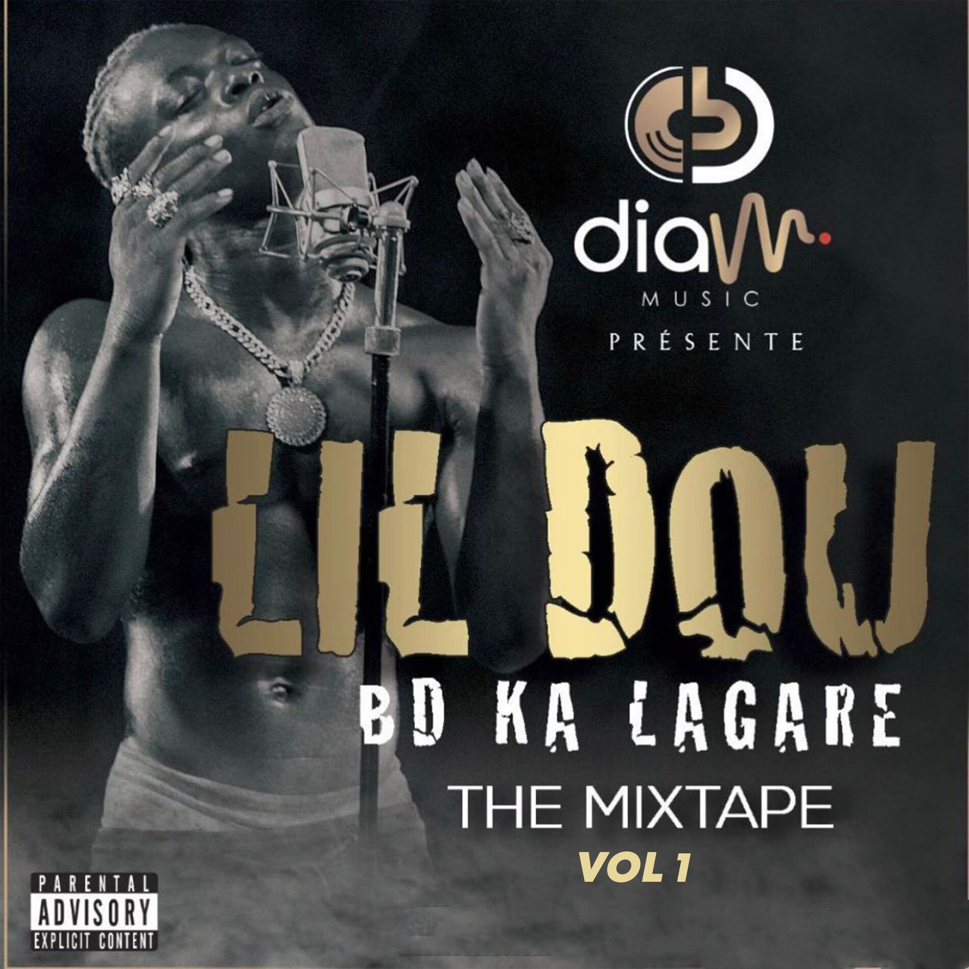 Album cover of BD ka lagaré (Vol 1)