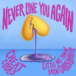 Cover of Never Love You Again