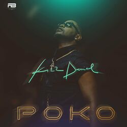Cover of Poko