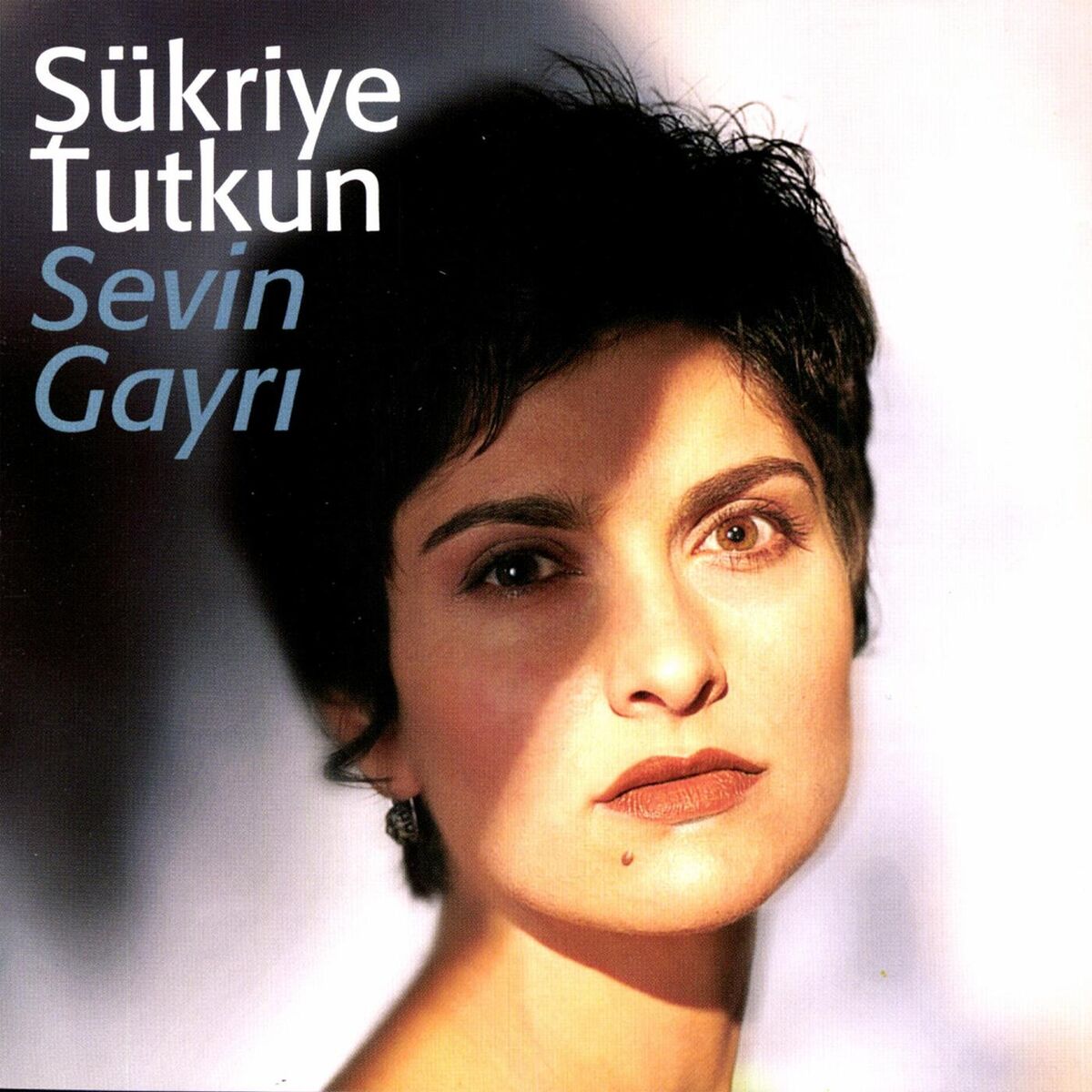 Album picture of Sevin Gayrı