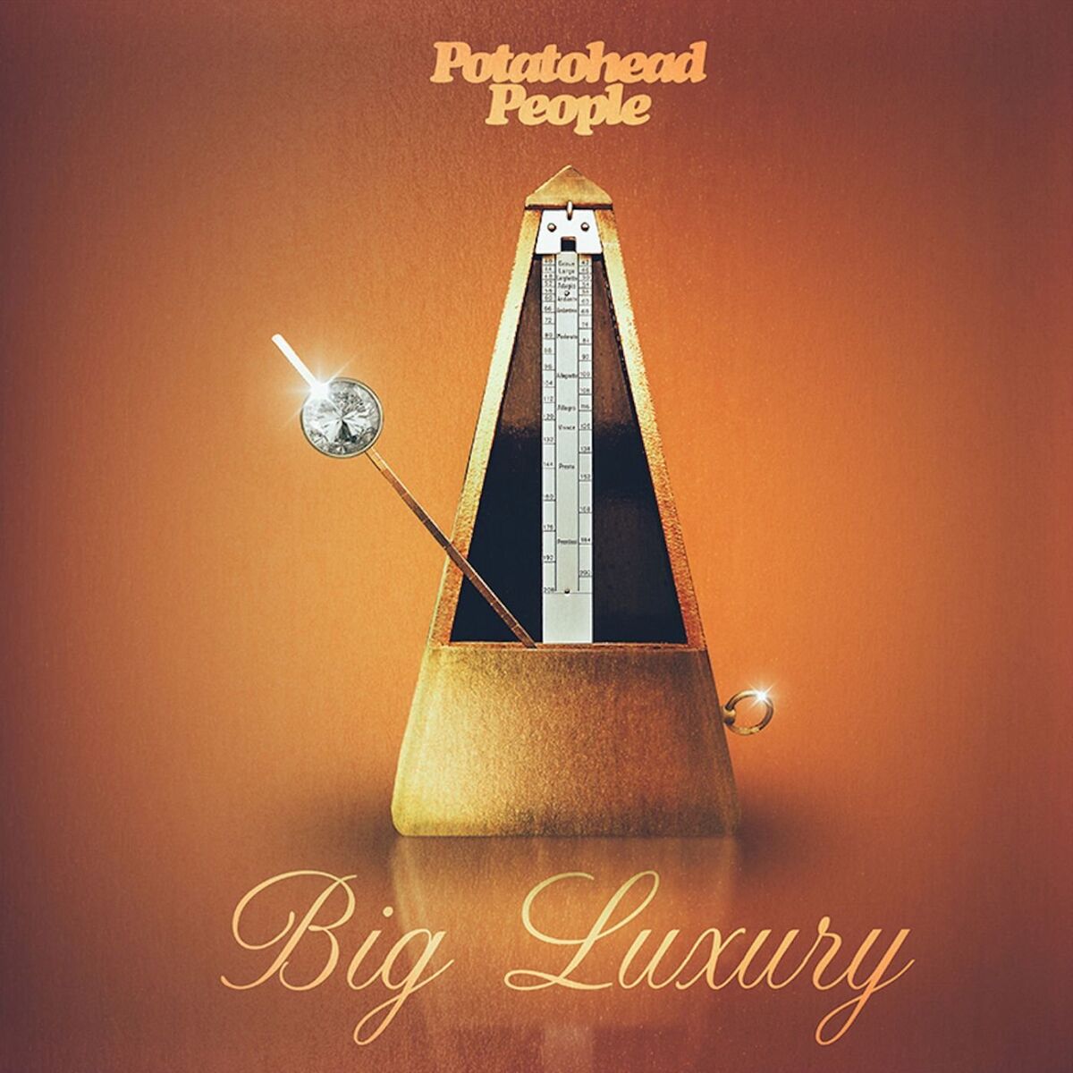 Album cover of Big Luxury
