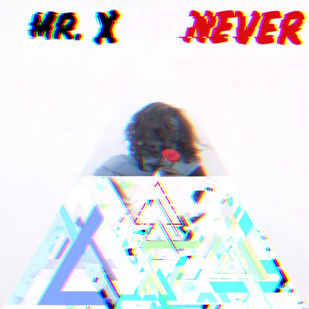 Picture of Never