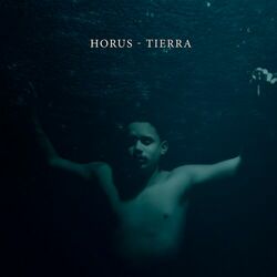 Cover of Tierra