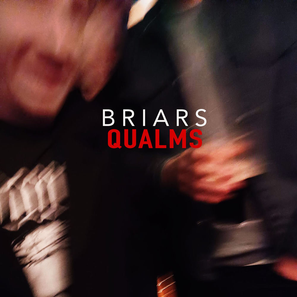 Qualms cover