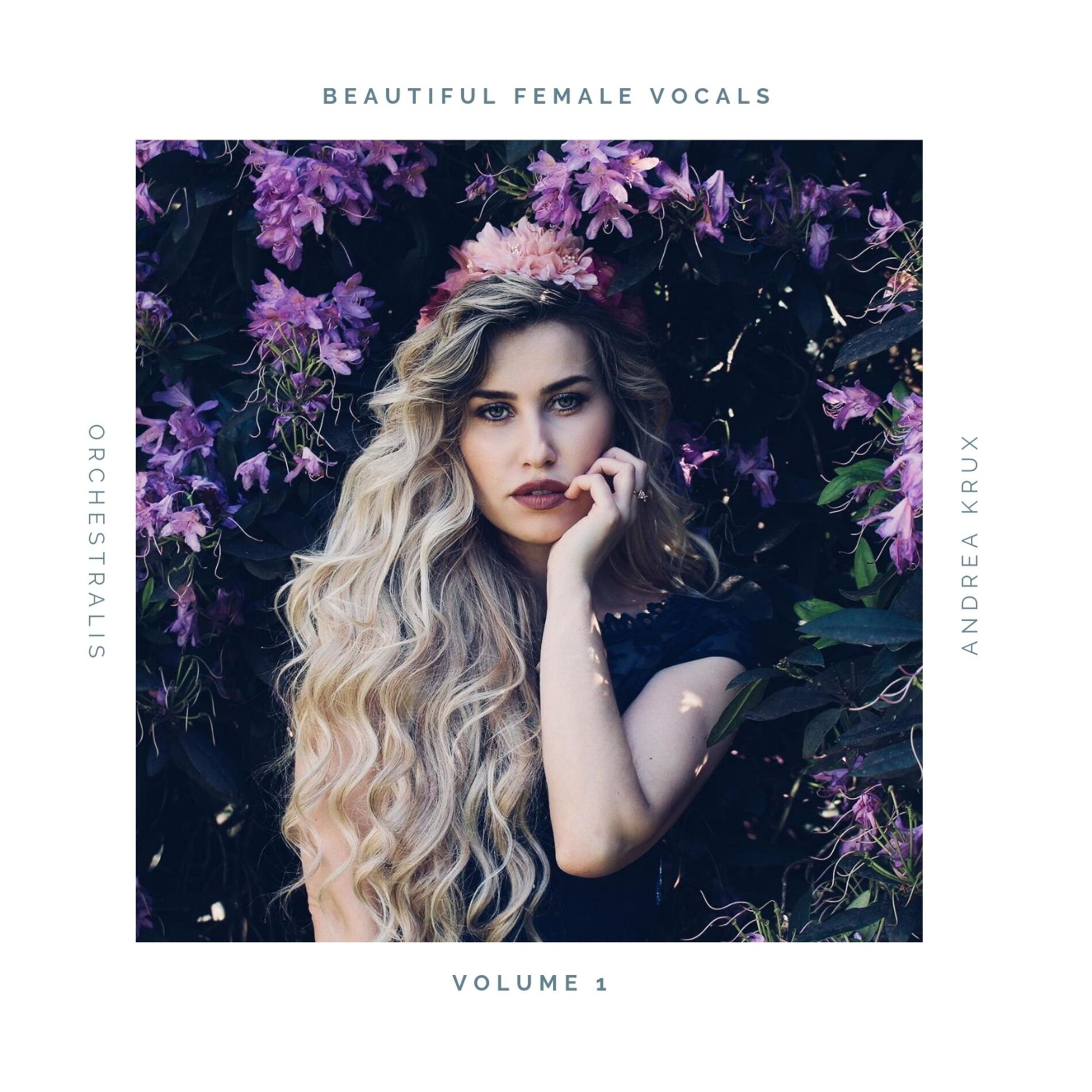 Album cover of Beautiful Female Vocals, Vol. 1