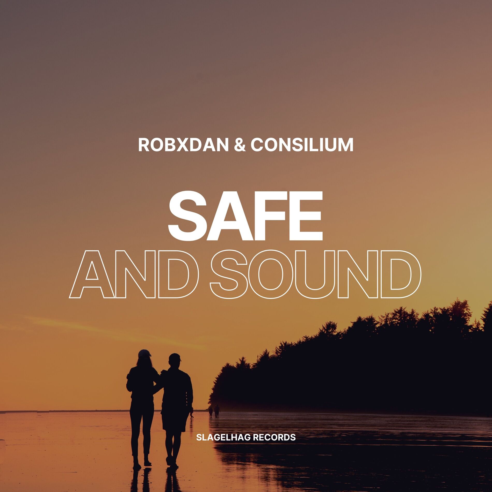 Album cover of Safe and Sound