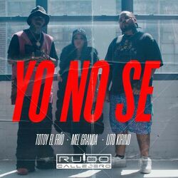 Cover of Yo No Se