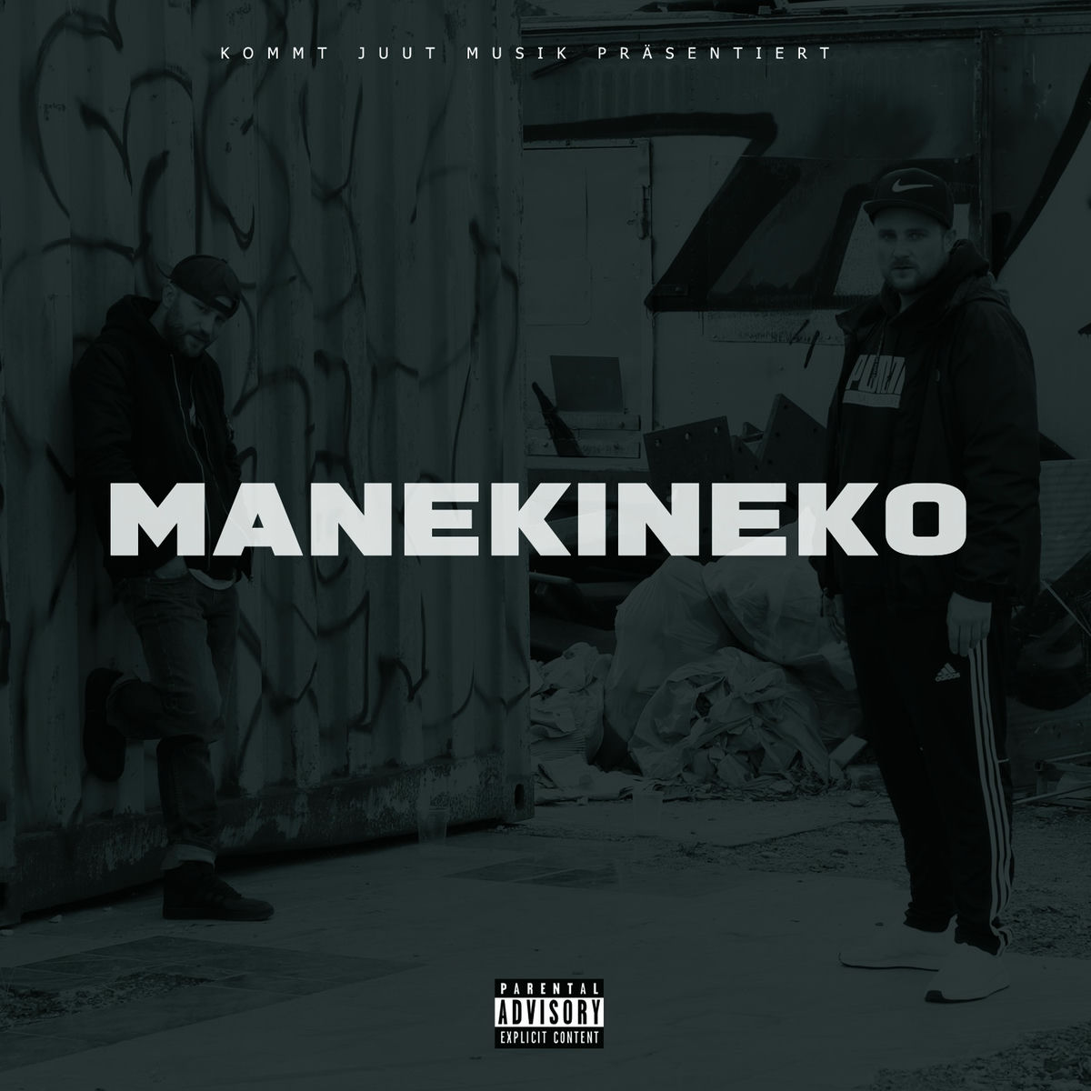 Album cover of Manekineko