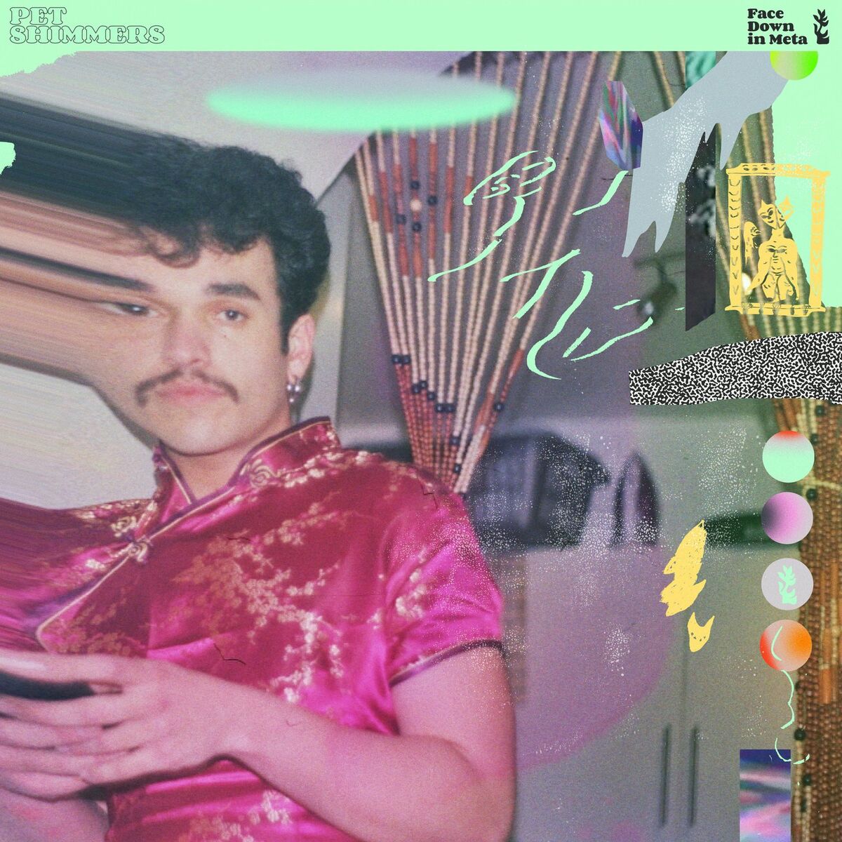 Album cover of Face Down in Meta