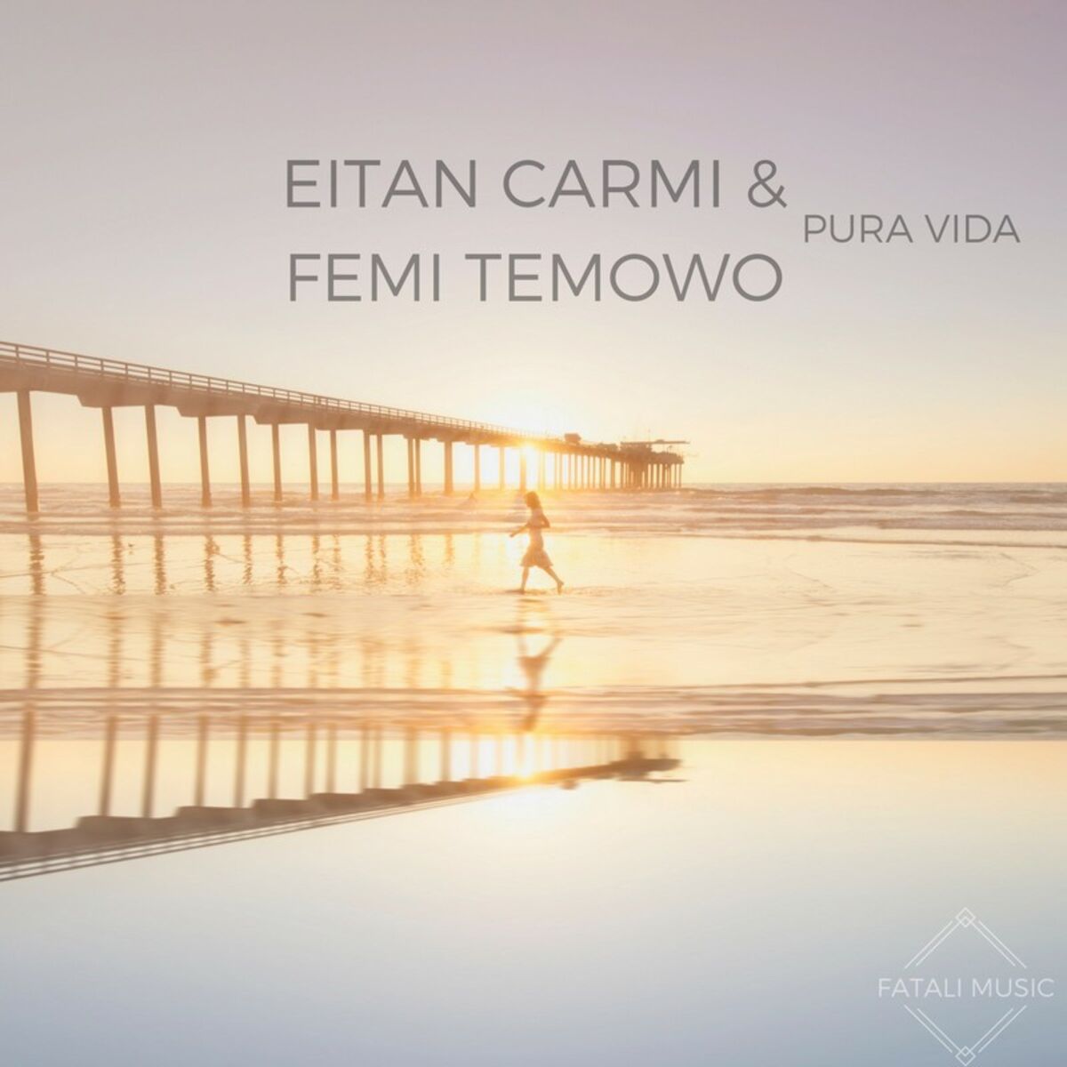Album cover of Pura Vida