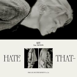 Cover of Hate that...