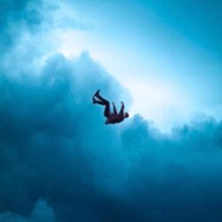 Cover of FALLING FOREVER