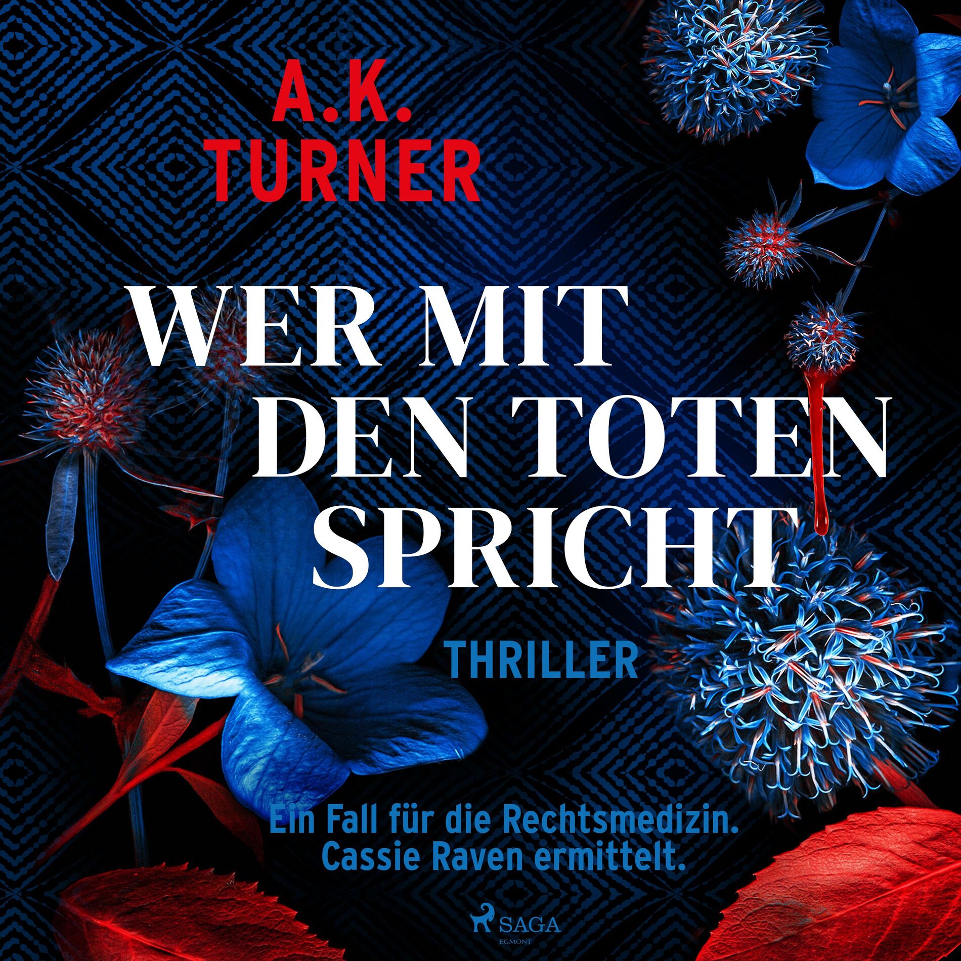 Album cover of Wer mit den Toten spricht: Ein Fall für die Rechtsmedizin. Cassie Raven ermittelt (Raven & Flyte ermitteln 2)