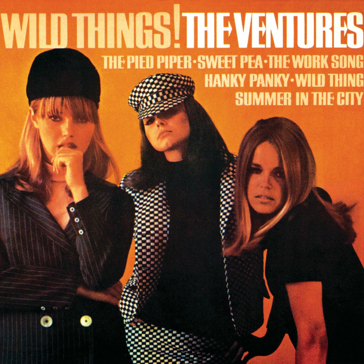 Album cover of Wild Things!