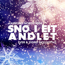 Cover of Snø i eit andlet