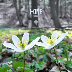 Cover of Spring