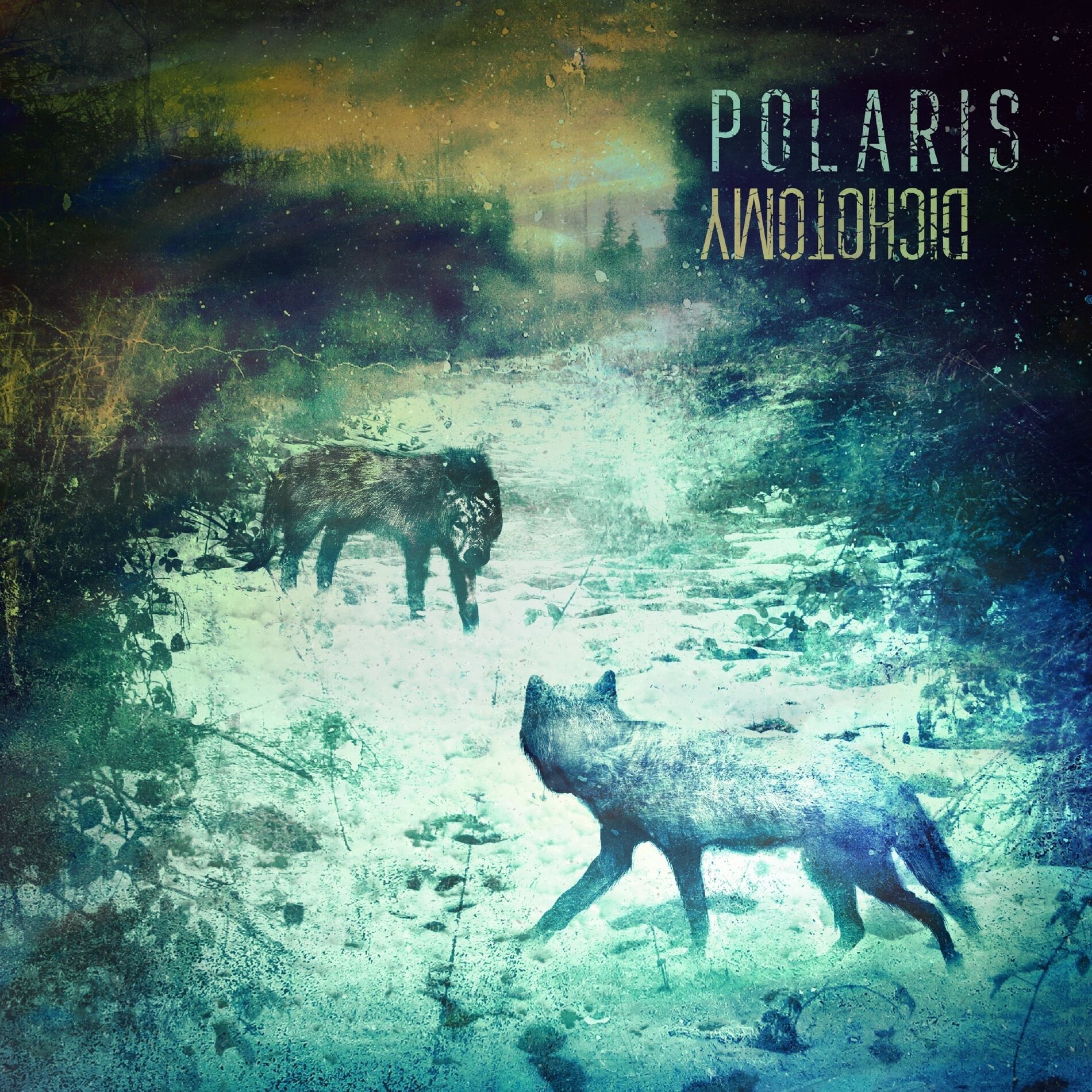 Album cover of In Memoria Di