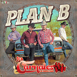 Cover of Plan B
