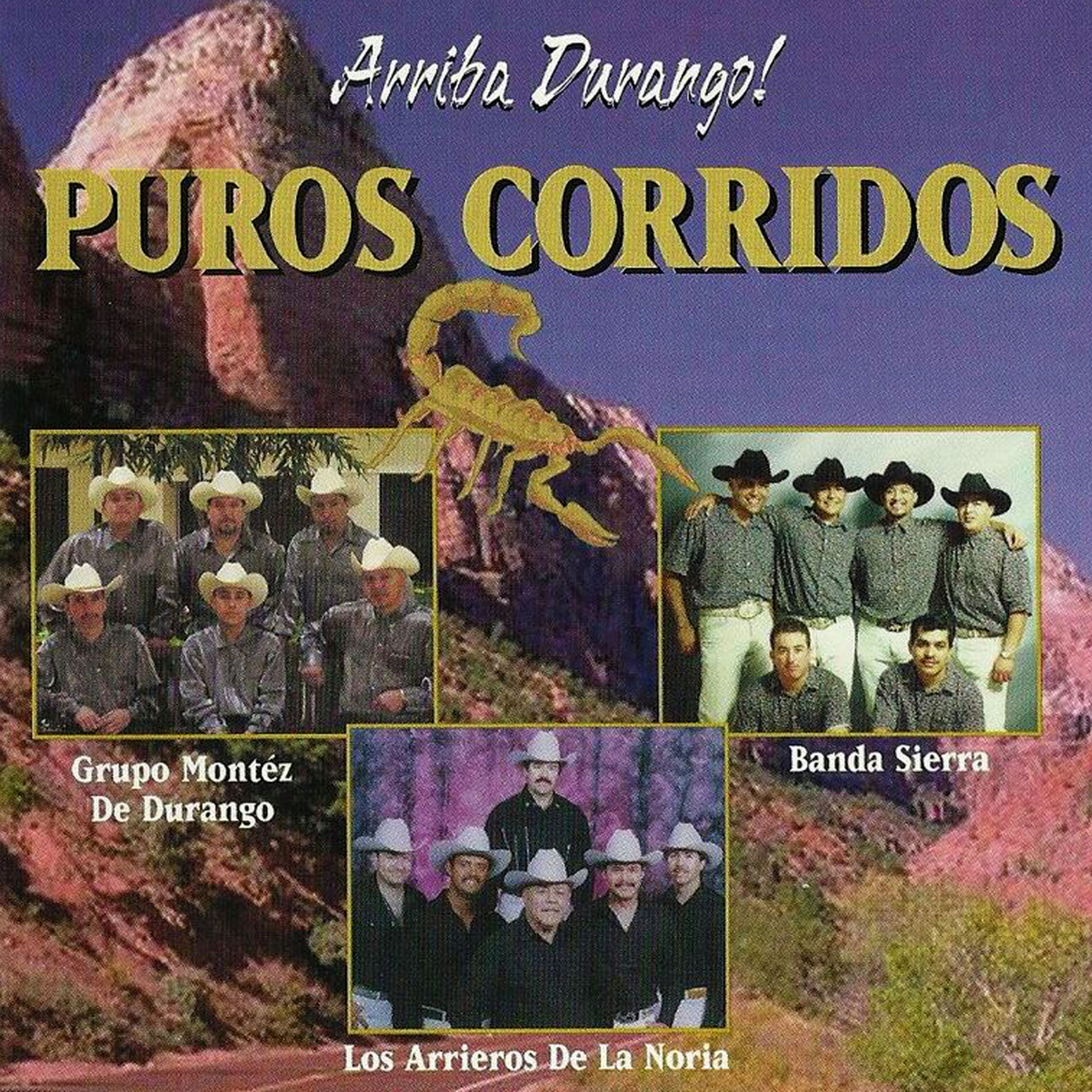 Album cover of Arriba Durango, Vol. 1