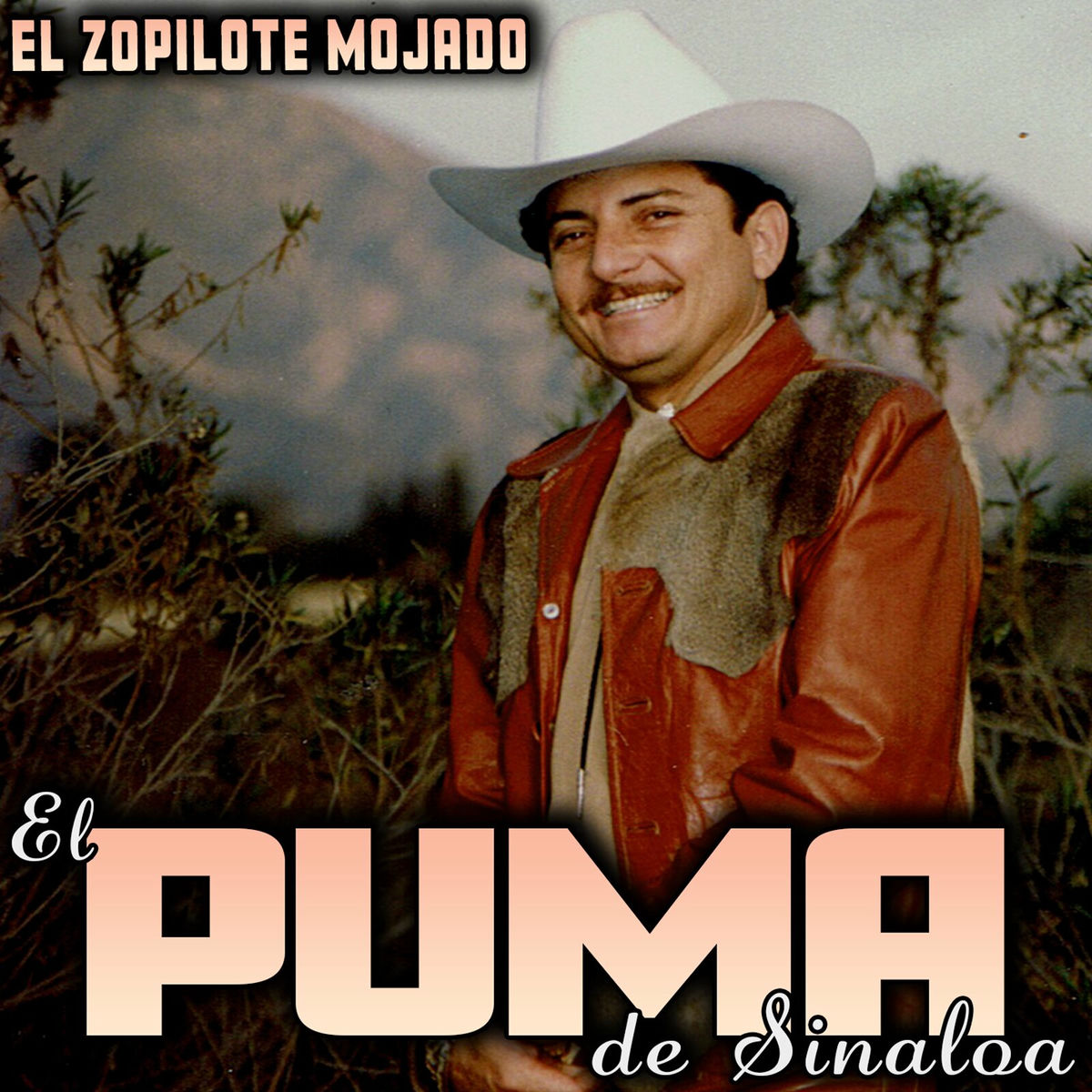 Album cover of El Zopilote Mojado