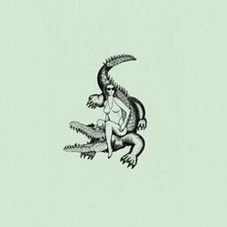Cover of Riding the Crocodile