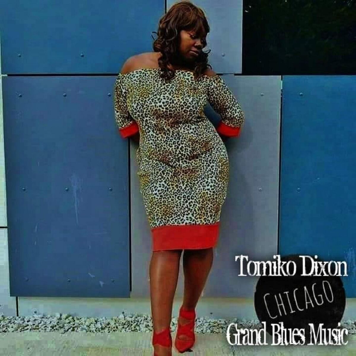 Album cover of Chicago Grand Blues Music