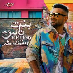 Cover of Bent Nas