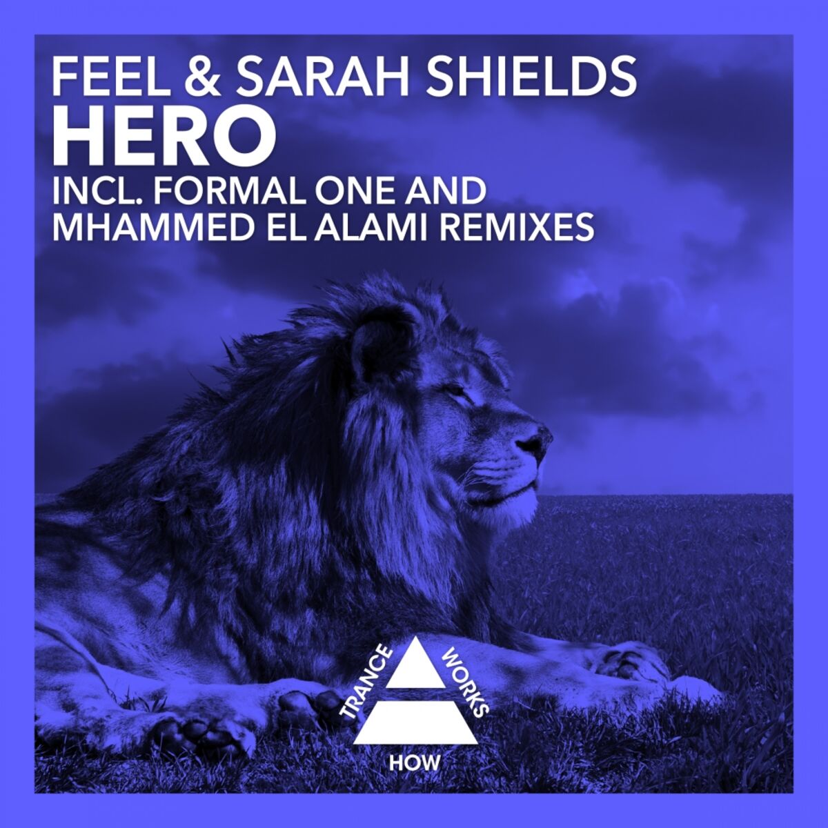Album cover of Hero