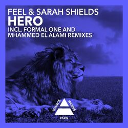 Cover of Hero