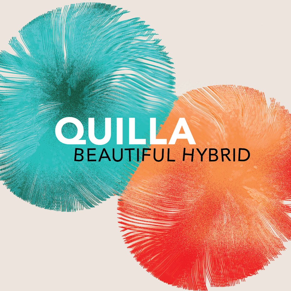 Picture of Beautiful Hybrid