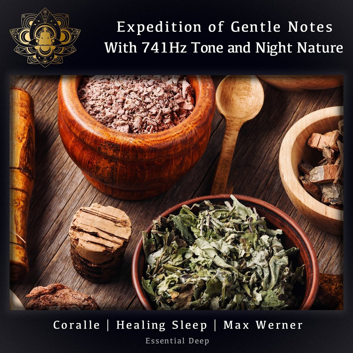Album cover of Expedition of Gentle Notes with 741Hz Tone and Night Nature