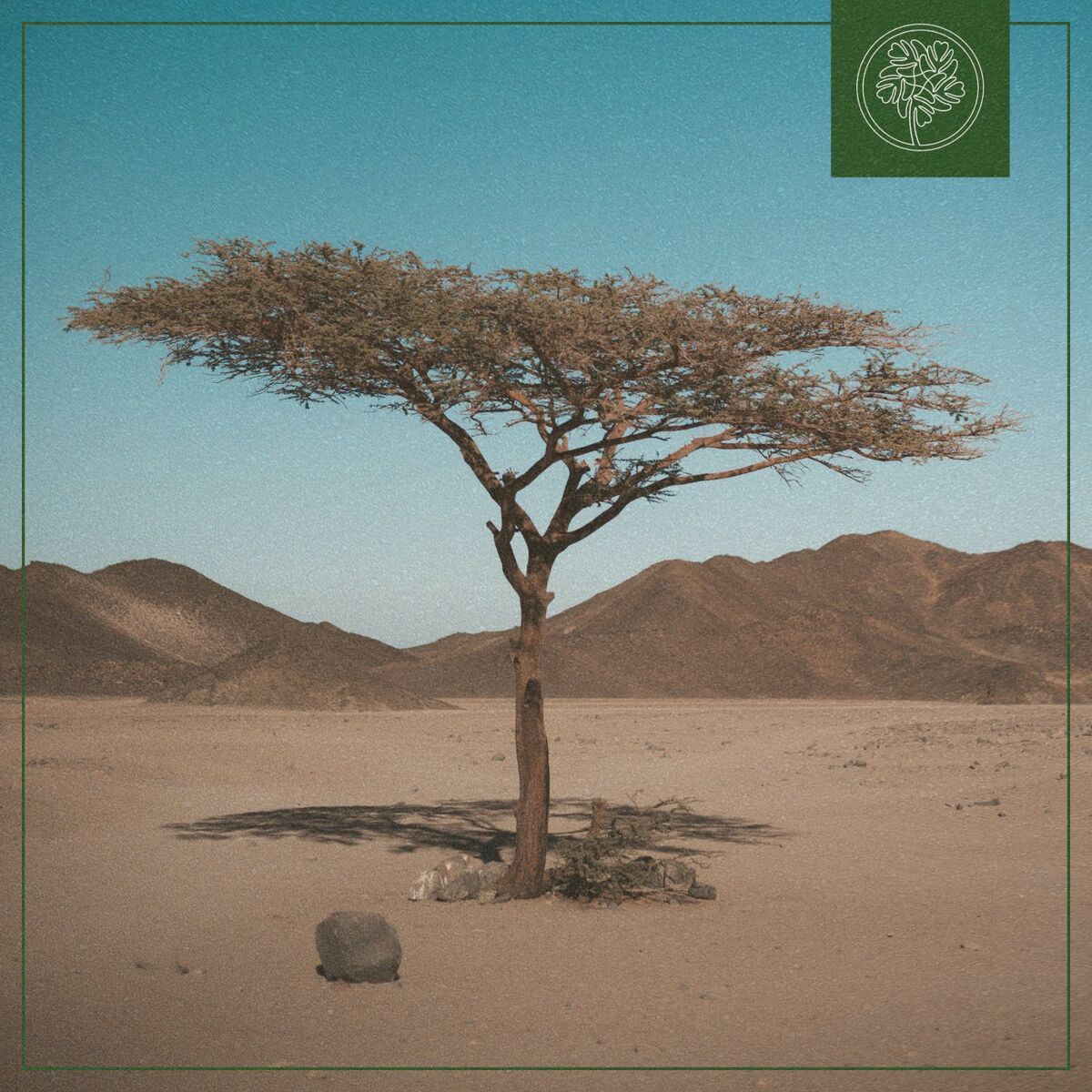 Album cover of Bossa De Flauta