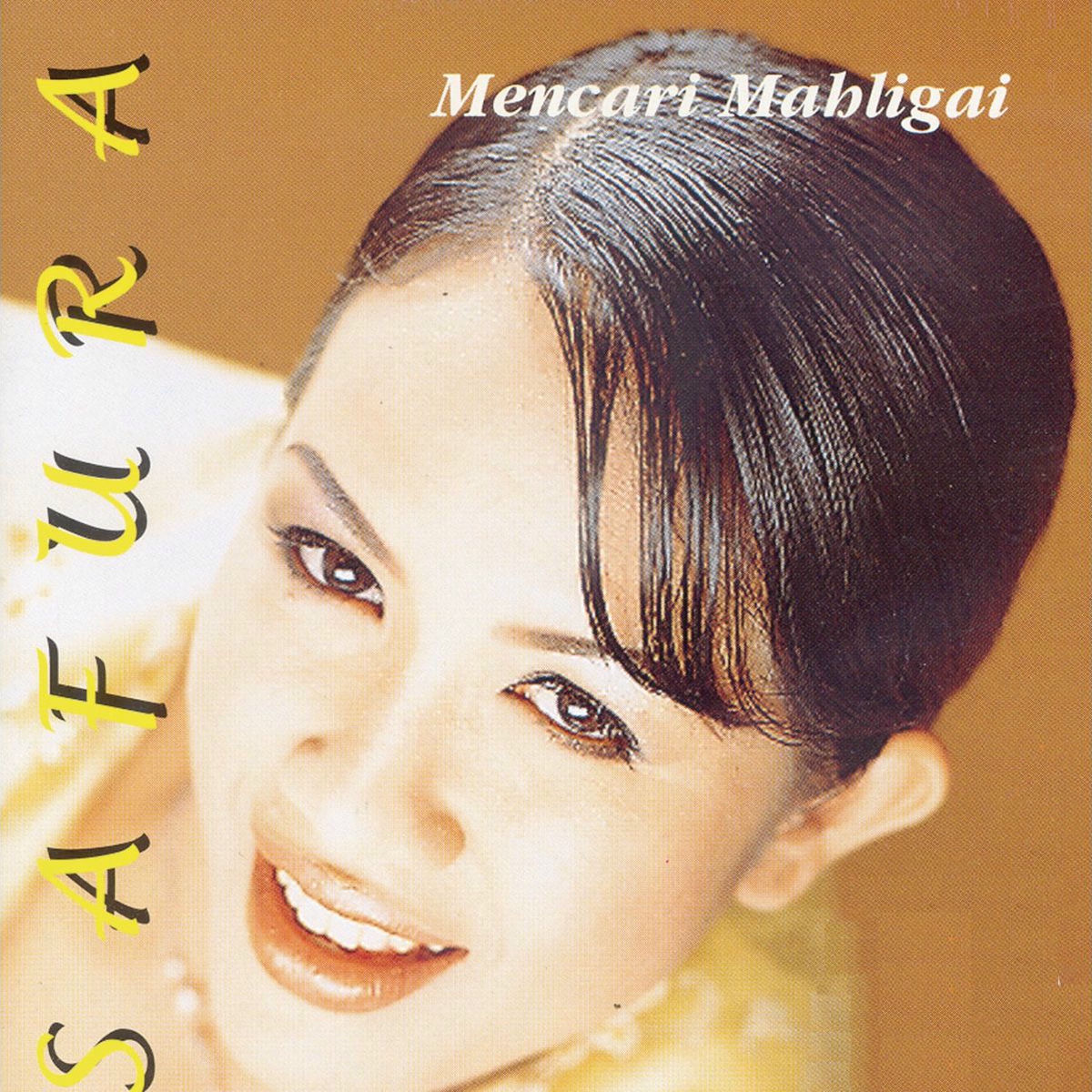 Album cover of Mencari Mahligai