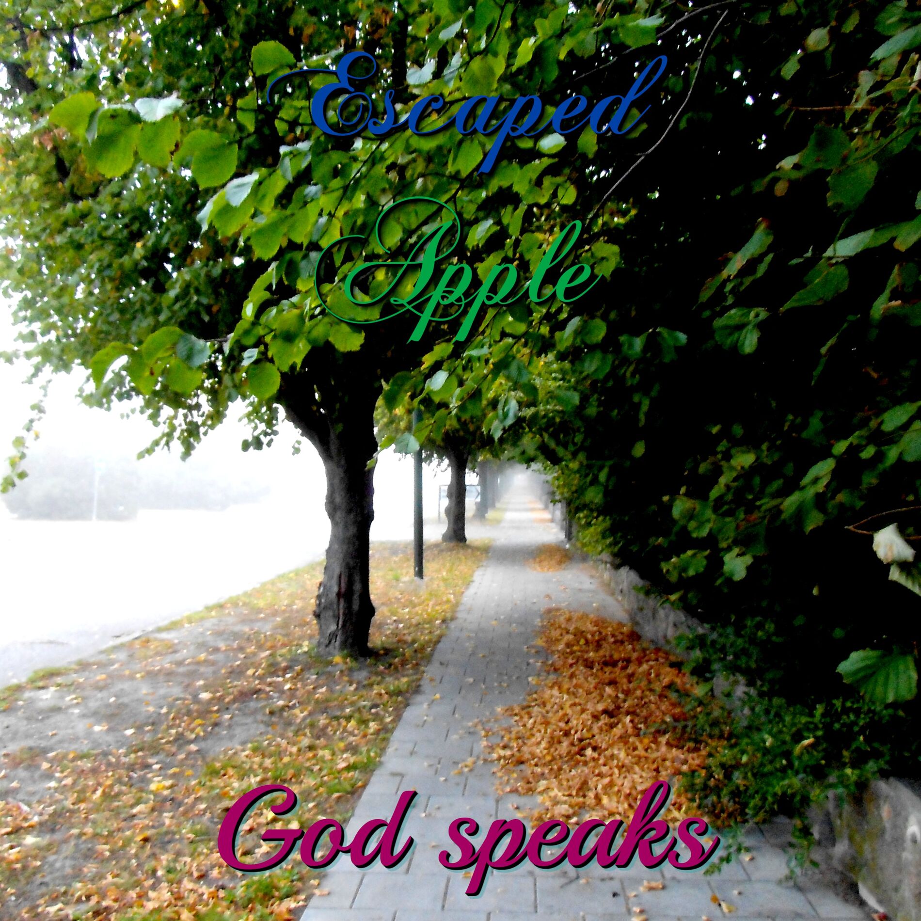 Album cover of God speaks