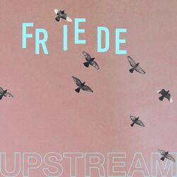 Cover of Friede