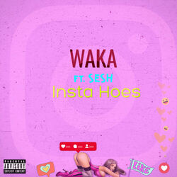 Cover of Insta Hoes